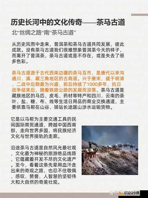 长孙皇后的盘龙洞：一段鲜为人知的历史传奇与文化瑰宝探秘